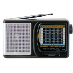 Радиоприемник Ritmix RPR2980